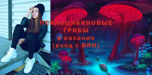 круглые Алексеевка